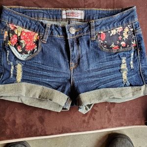 American iris shorts